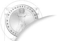 Main Top Logo